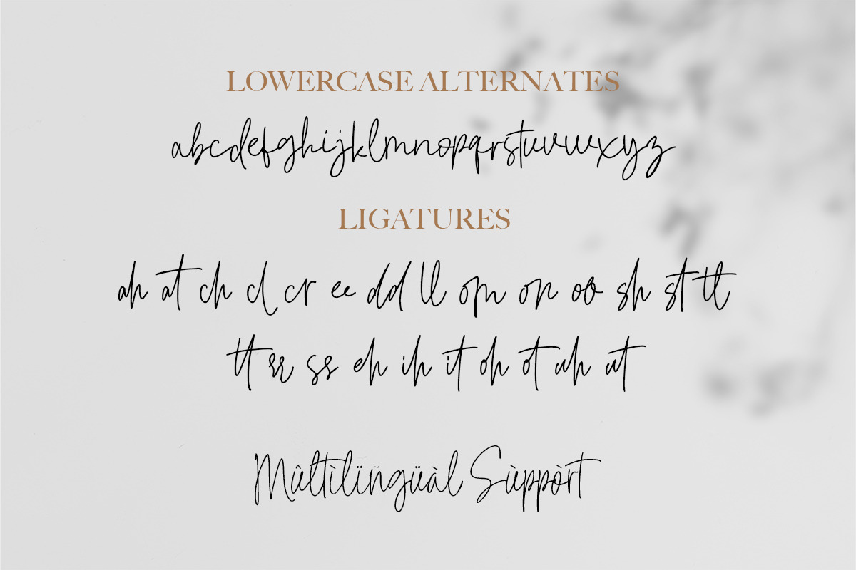 Signatural - Handwritten Font, a Script Font by Bale Type (Photo 7 of 11)