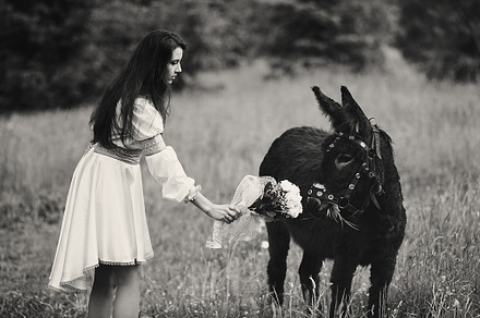 Bride and donkey, a Person Photo by IvashStudio