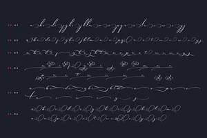 Michand Script Classy Calligraphy