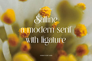 SALLINE — Modern Serif Typeface, a Serif Font by Alfinart (Thumbnail 3 of 7)