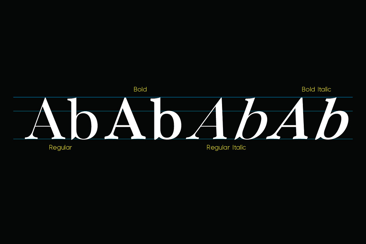 Molagane | Fancy Serif Typeface, a Serif Font by Qaratype (Photo 10 of 26)