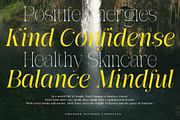 Awesome Gulgina | 18 Style Font, a Serif Font by IM Studio (Thumbnail 7 of 15)