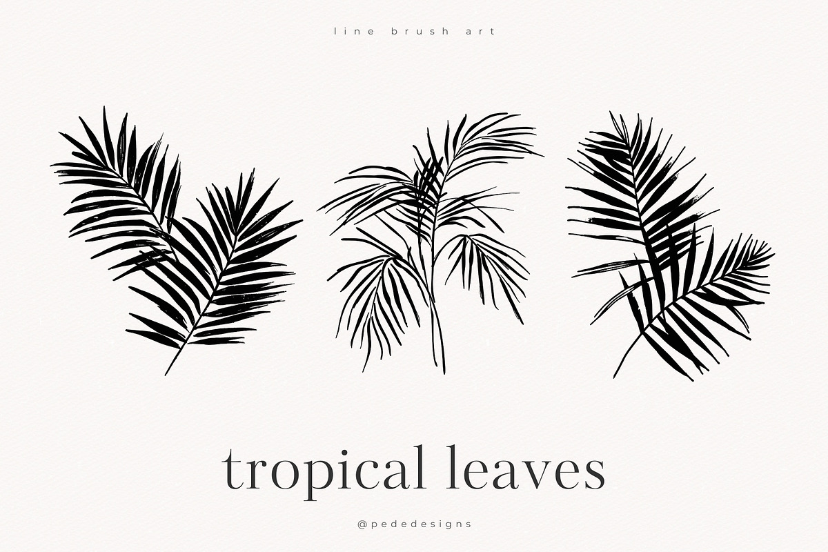 Tropical Leaves, a Decorative Illustration by PeDe Designs (Photo 5 of 7)