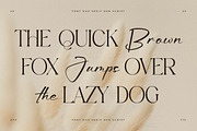 Aurora Magnollia Font Duo, a Serif Font by Storytype Studio (Thumbnail 3 of 15)