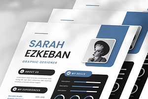 Professional Elegance CV Resume