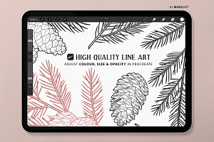 Pine Branch Procreate Brush Stamps