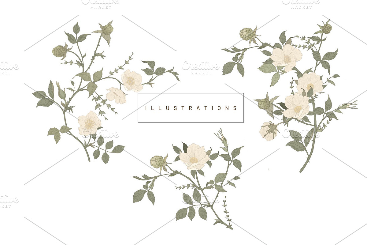 Bramble Bloom Seamless Pattern, a Pattern Graphic by MouseGrey (Photo 16 of 17)