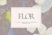 FLOR Seamless Patterns Collection, a Pattern Graphic by nkate (Thumbnail 1 of 13)