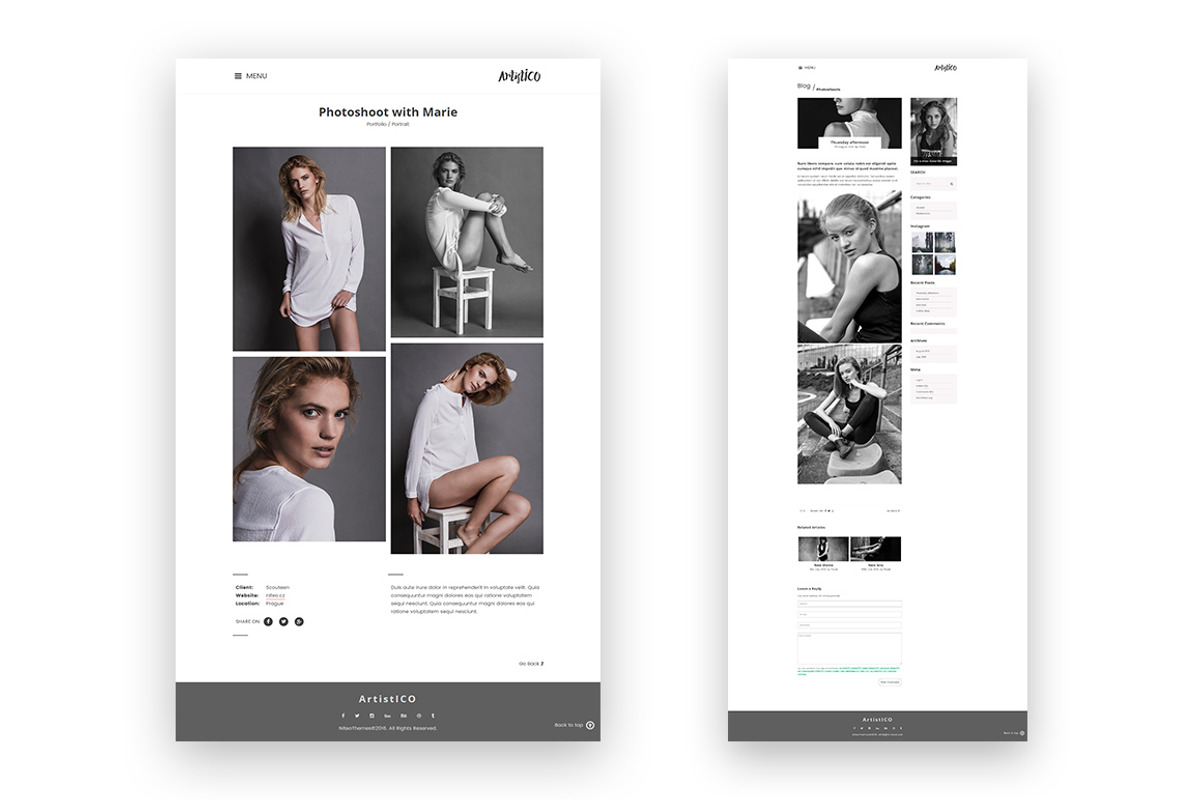 ArtistICO - Wordpress Theme, a WordPress Template by NiteoThemes (Photo 3 of 3)