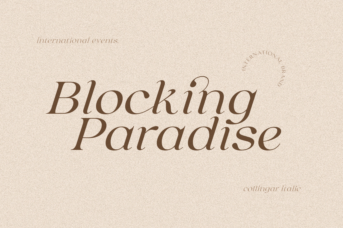 Collingar - Aesthetic Serif, a Serif Font by Sarid Ezra (Photo 7 of 9)