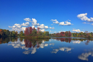 Water And Sky