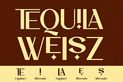 Luxury Ligature Sans Serif - Rochela, a Sans Serif Font by Say Studio (Thumbnail 9 of 11)