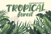 Orangutan, a Font by LetterStock (Thumbnail 2 of 7)