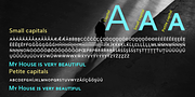 Cumhuriyet VF, a Sans Serif Font by Fontuma (Thumbnail 6 of 12)