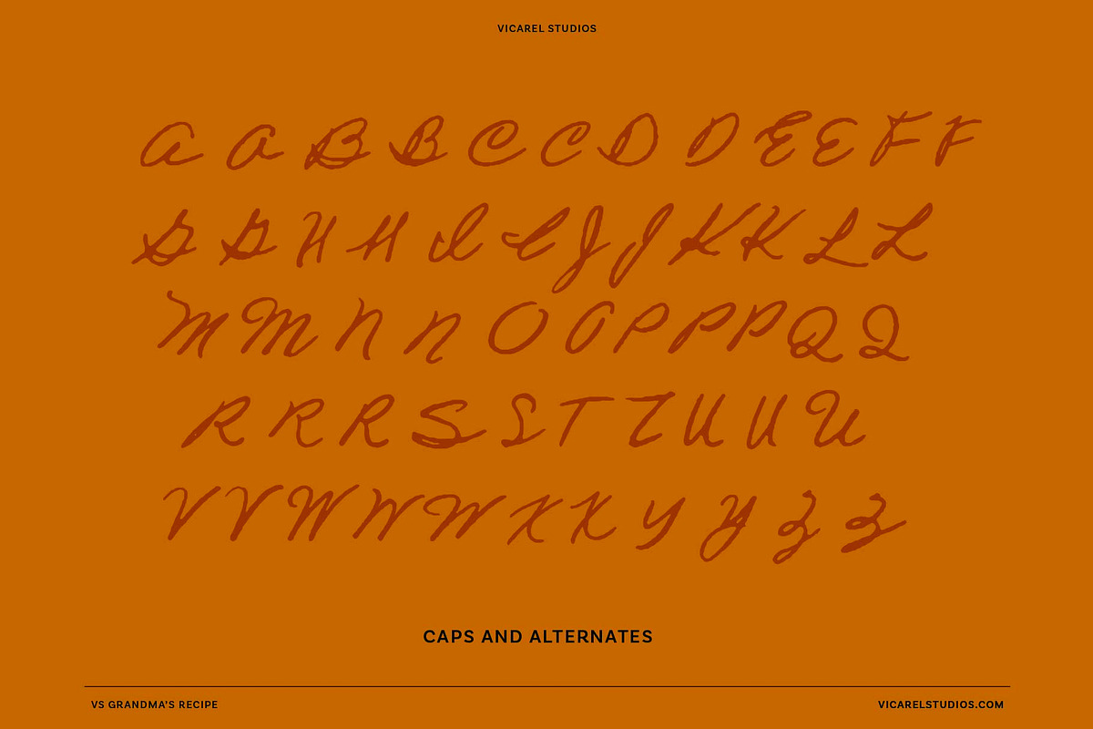 VS Grandma's Recipe Handwritten Font, a Script Font by Vicarel Studios (Photo 15 of 16)