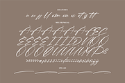 Pantherdam Signature Signature Brush, a Script Font by Letterena Studios Script (Thumbnail 14 of 15)