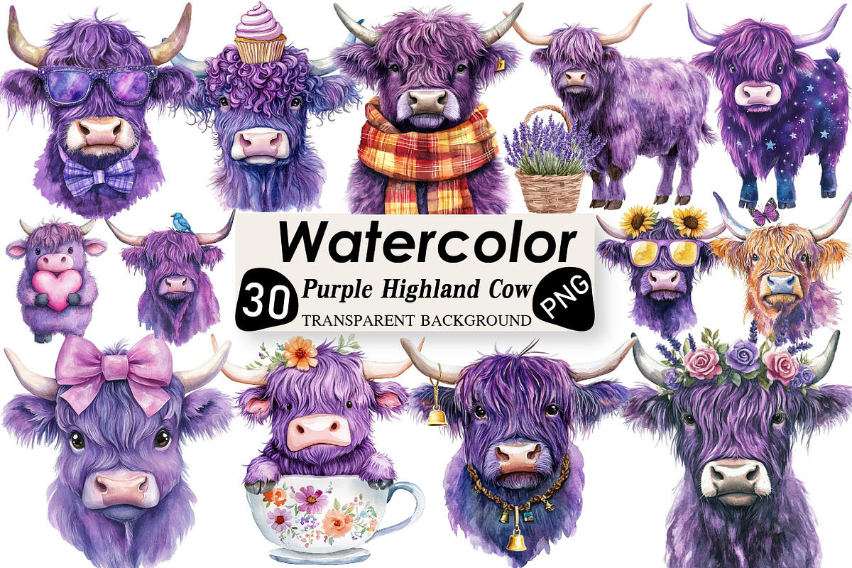 Purple Highland Cow Clipart, an Illustration by Black Bird Studio (Photo 1 of 6)