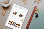 Carnatia WordPress Wedding Theme, a WordPress Template by Europe.graphics (Thumbnail 3 of 5)