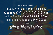 Daylight - Bold Modern Vintage Font, a Serif Font by overlaytemplates (Thumbnail 6 of 6)