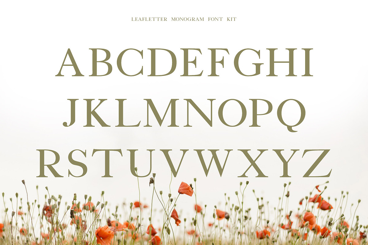 Leafletter Monogram Font Kit preview 5