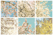 Stock Image Bundle, spring flowers, a Mockup by JAY MID IMAGE (Thumbnail 4 of 6)