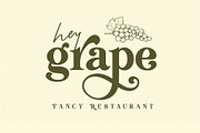 Delightful Napkin Modern Serif Font, a Serif Font by Airotype (Thumbnail 8 of 15)