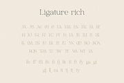 Aurelius - Feminine Chic Serif, a Serif Font by Harmonais Visual (Thumbnail 31 of 35)