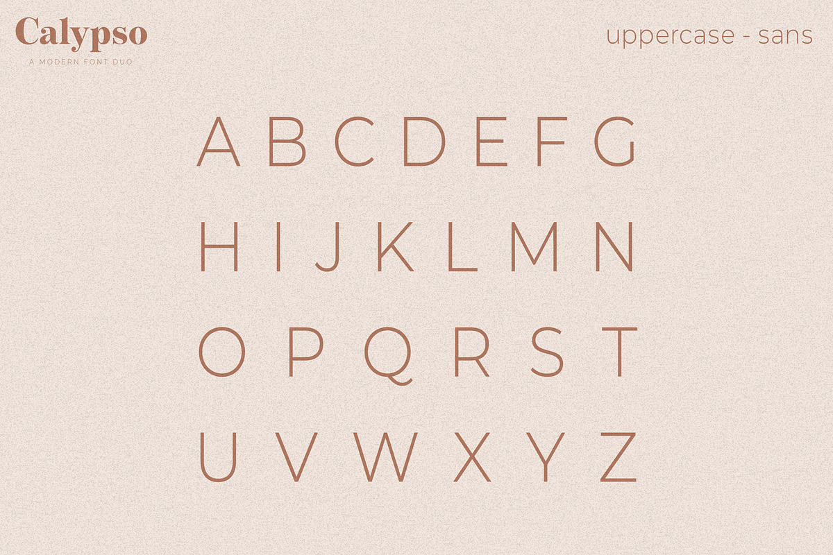 Calypso // A Modern Font Duo, a Serif Font by Megs Lang (Photo 12 of 18)