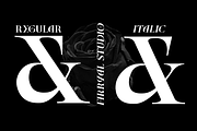 Bricheny Rock – Ligature Serif, a Serif Font by Fikryal Studio (Thumbnail 13 of 15)