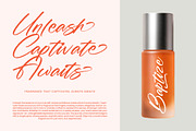 Fullgate Displant Bold Brush Font, a Script Font by stylishtype.co (Thumbnail 16 of 20)