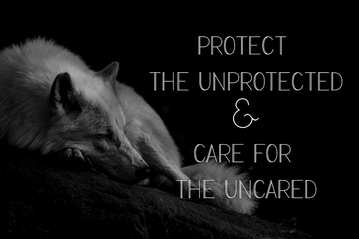 PROTECT Sans Serif Font Family preview 7