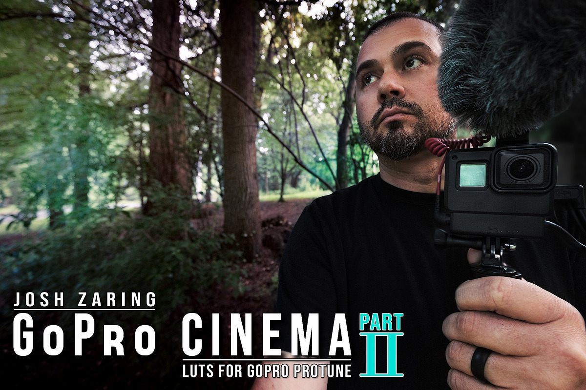 GoPro Protune Cinema LUT Pack II, a Layer Style Add-On by Josh Zaring Studios (Photo 2 of 2)