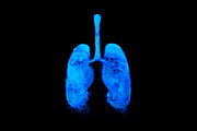 Smoky shapes of human organs, a Healthcare Illustration by Julvil (Thumbnail 6 of 7)