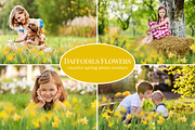 Daffodils Flowers photo overlays, a Layer Style Add-On by BrownLeopard (Thumbnail 1 of 7)