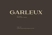 GARLEUX Duo Display Font, a Serif Font by sentype (Thumbnail 8 of 8)