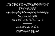 Hillbear - Handbrush Script Font, a Script Font by StringLabs (Thumbnail 6 of 7)