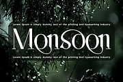 Ancestral Blueprint - Elegant Font, a Serif Font by 177Studio (Thumbnail 3 of 8)