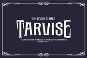 Tarvise, a Symbol Font by Vintage Division (Thumbnail 15 of 15)