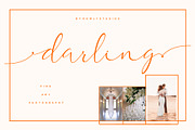 Equalizer Signatures, a Script Font by Nowlystudios (Thumbnail 2 of 8)