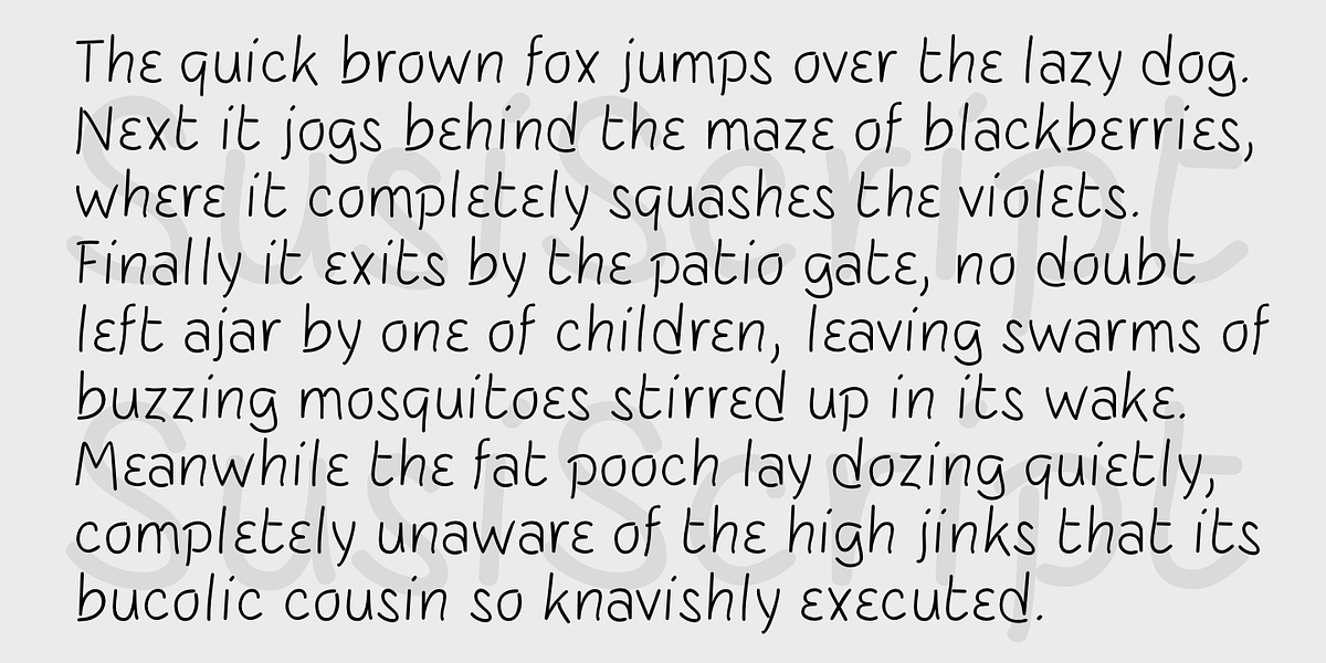 SusiScript, a Handwritten Font by Ingrimayne Type (Photo 5 of 9)