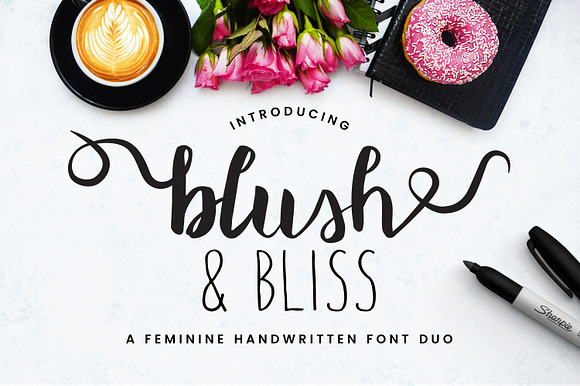Blush & Bliss | A Font Duo preview 8