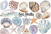 Seashell Clip Art Seashell Clipart, a Decorative Illustration by Paper Artsthetics (Thumbnail 1 of 4)