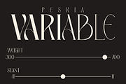 Peskia - Variable Font Family, a Serif Font by Valentino Vergan (Thumbnail 8 of 15)