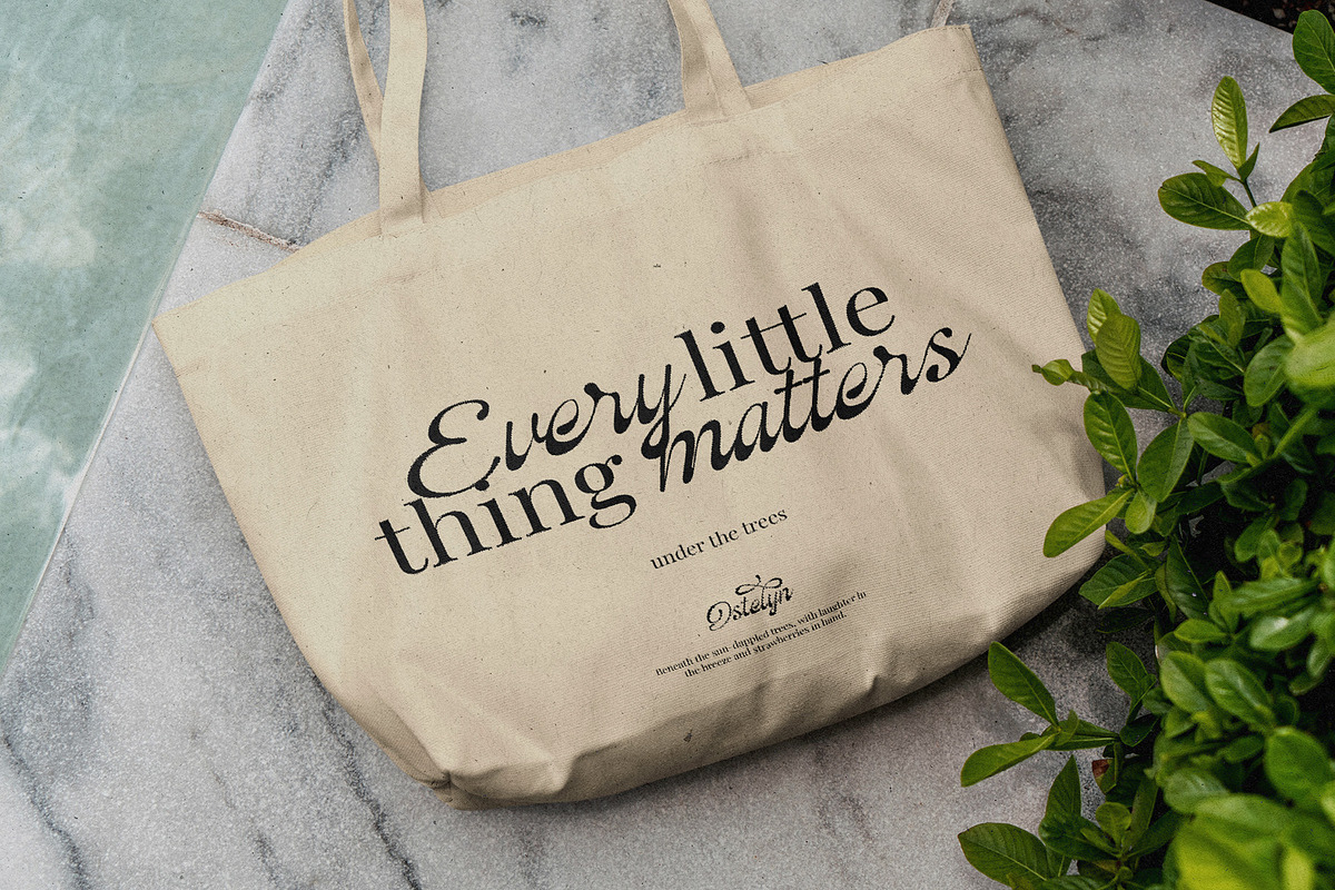 Ostelyn – Elegant Script Font, a Script Font by Inviline.co (Photo 10 of 15)