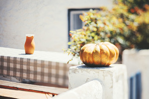 Pumpkin and jug in sunlit blur, a Holiday Photo by SkyNext