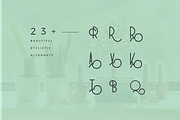 RedFlower Typeface 80% OFF, a Font by Type & Studio (Thumbnail 5 of 7)