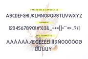 Wander Brave Modern Typeface, a Sans Serif Font by Heinzel Std (Thumbnail 6 of 8)