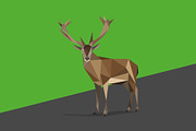Wild animals in low poly style, an Animal Illustration by Volkan Aydemir (Thumbnail 6 of 12)