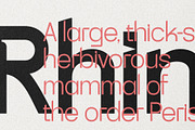 SLTF Skyling - Geometric Typeface, a Sans Serif Font by SilverStag Type Foundry (Thumbnail 7 of 25)