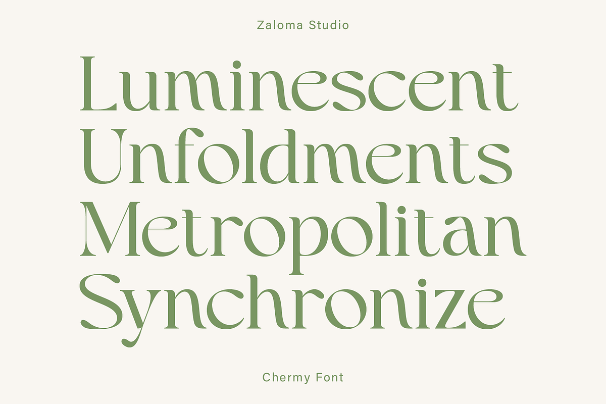 Chermy, a Serif Font by Zaloma Studio (Photo 3 of 17)